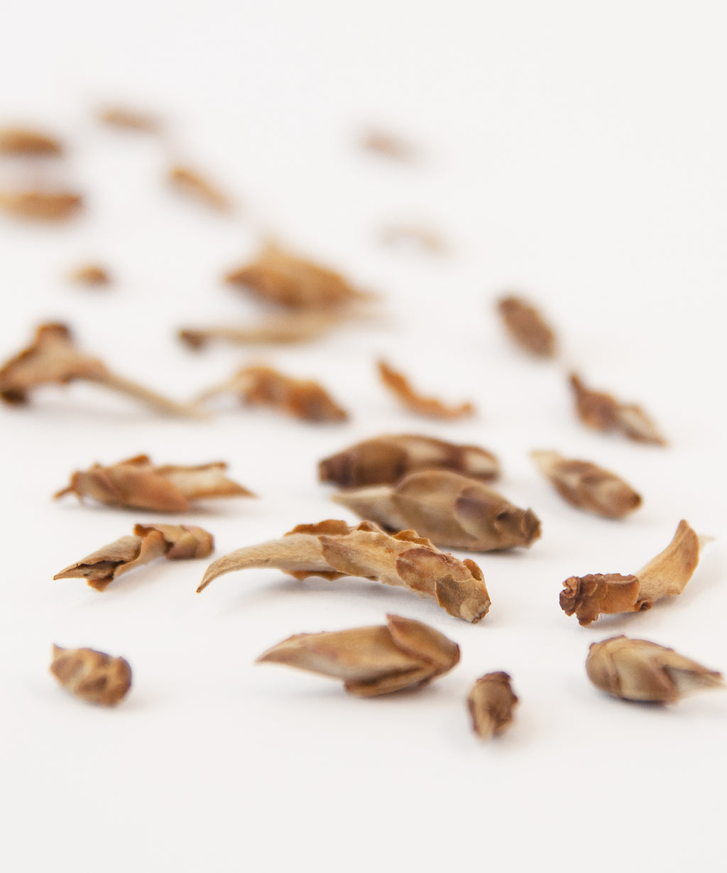 білий чай Я Бао, пуерні бруньки; белый чай Я Бао, пуэрные почки