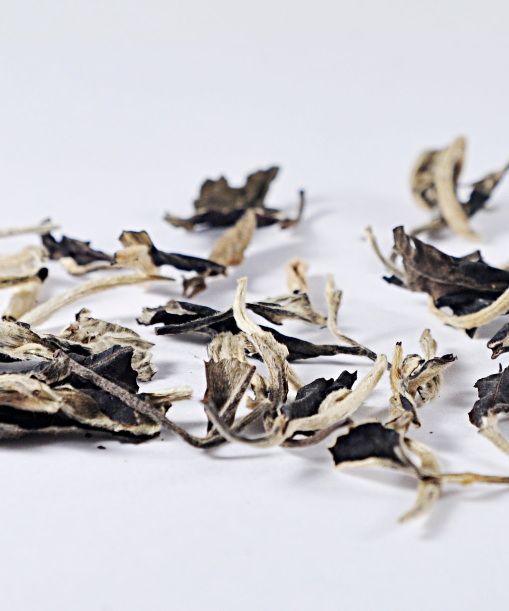 білий чай Юе Гуан Мей Жень, Красуня під місячним сяйвом; белый чай Юэ Гуан Мэй Жень, Красавица под лунным светом