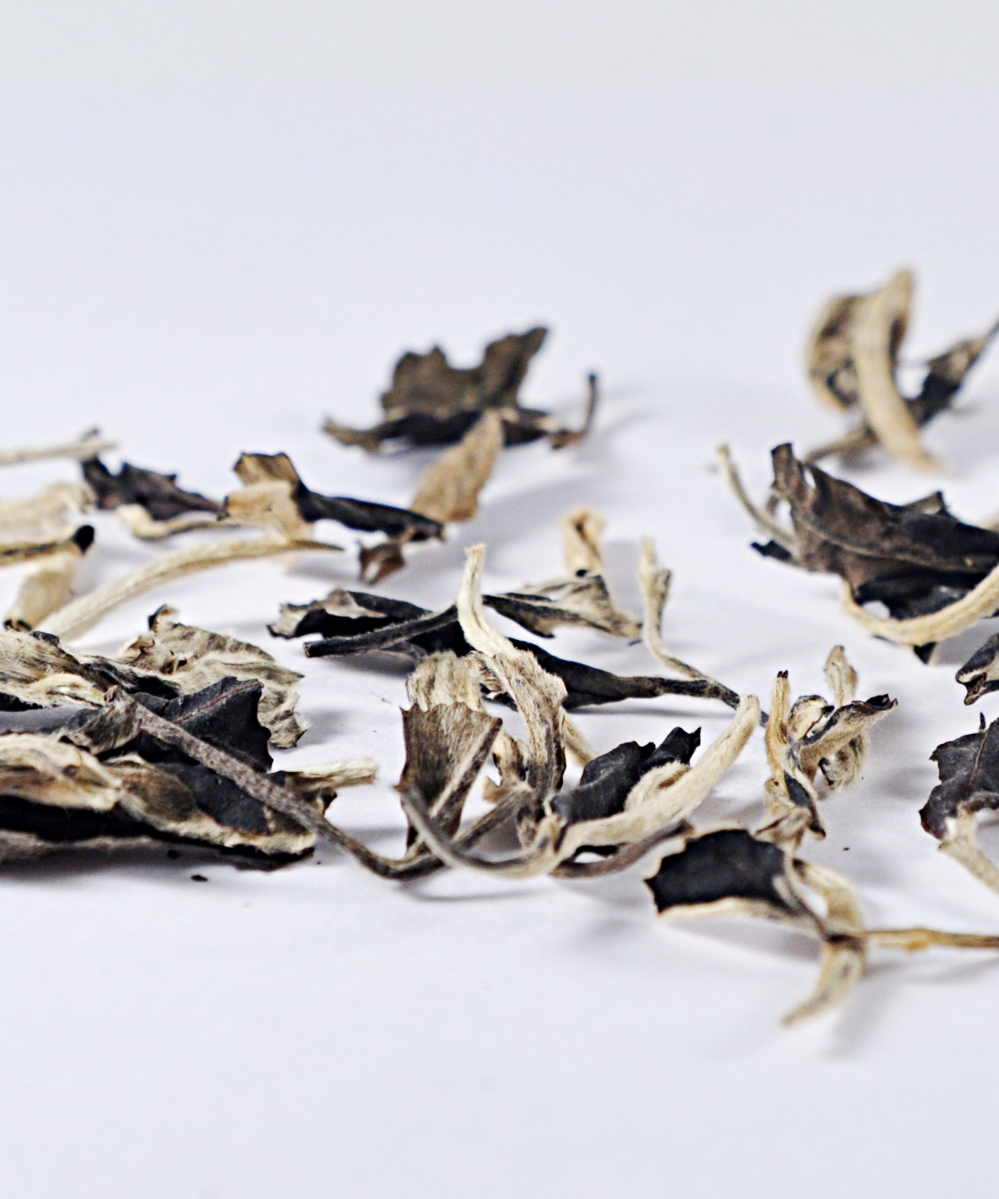 білий чай Юе Гуан Мей Жень, Красуня під місячним сяйвом; белый чай Юэ Гуан Мэй Жень, Красавица под лунным светом