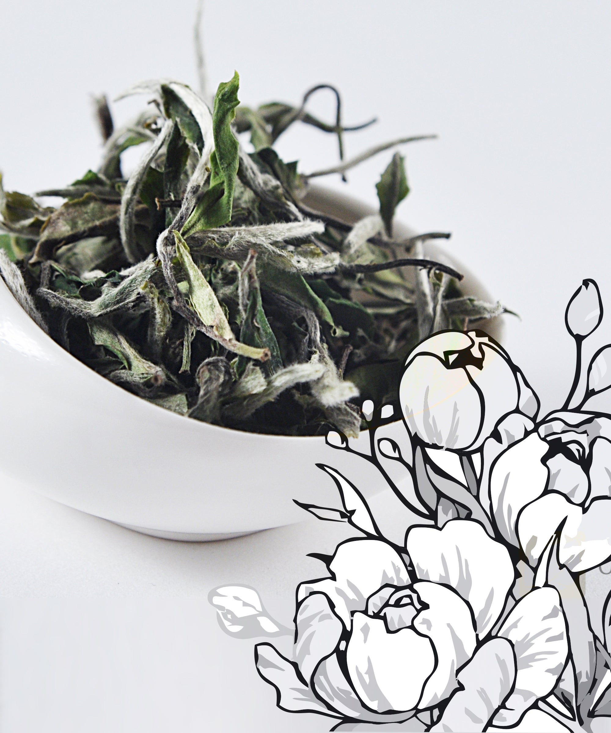 білий чай Бай Му Дань (Баймудань), Білий піон; белый чай Бай Му Дань, Белый пион